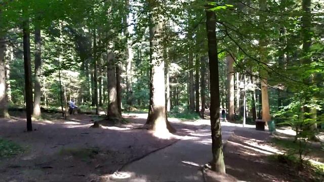 Східниця 2022: від джерела N3 через ринок в лісі в Східниці смотреть онлайн