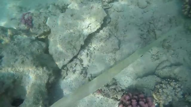 Marsa Alam 2017 смотреть онлайн