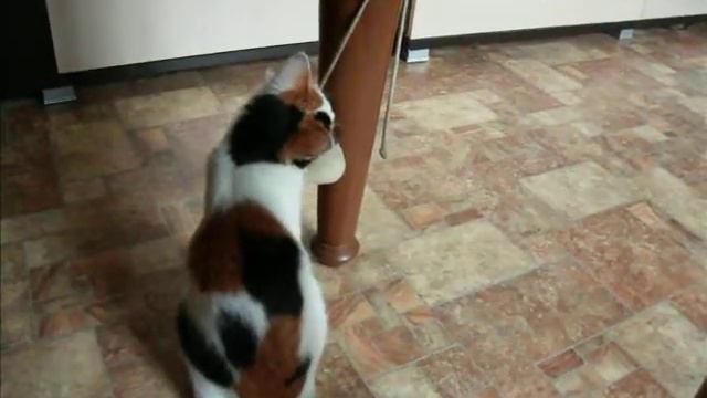 Любимая игрушка смотреть онлайн