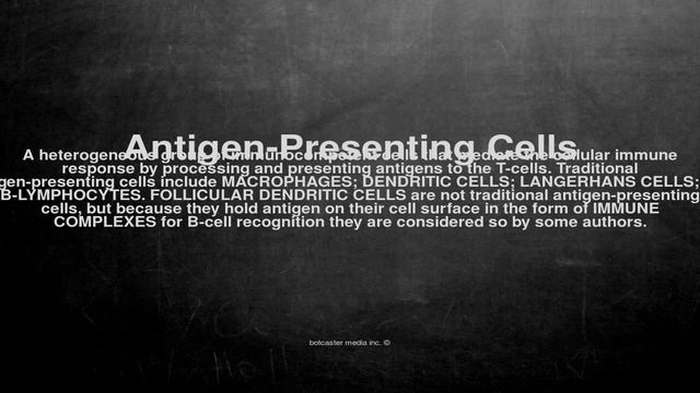 Medical vocabulary: What does Antigen-Presenting Cells mean смотреть онлайн