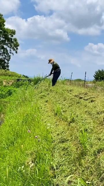 斜面草刈り。田んぼの周りを草刈ってみた。