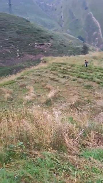 Как триммер косит траву смотреть онлайн