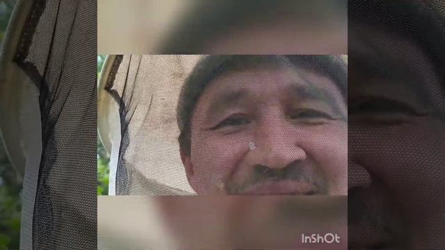 Борьба с роением, пчелы победили! смотреть онлайн