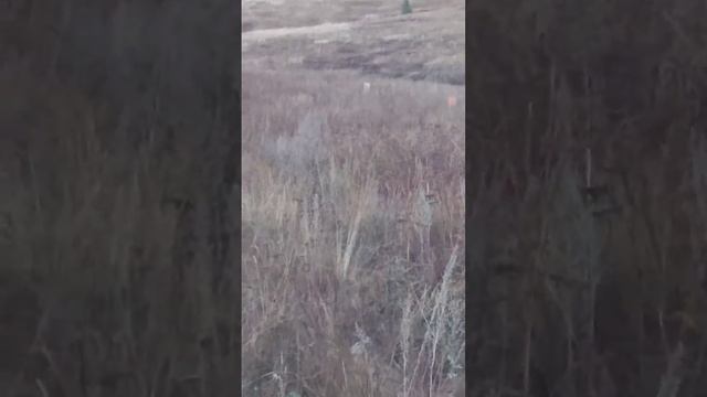 пристрелочный стол смотреть онлайн