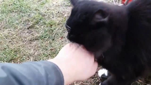 -Батюшки, уже и днём сидят. Зря сидите, жилплощади в этом году не предвидится. смотреть онлайн