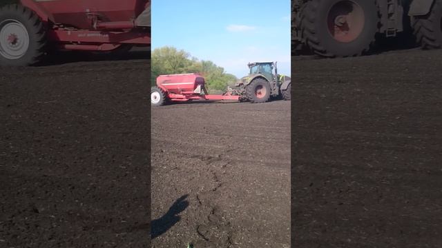 Start with sunflower Class Axion 950 and Horsch maestro 24, we can drive 12-15 km смотреть онлайн