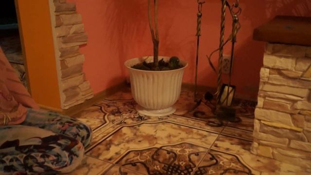Кролики в будинку смотреть онлайн