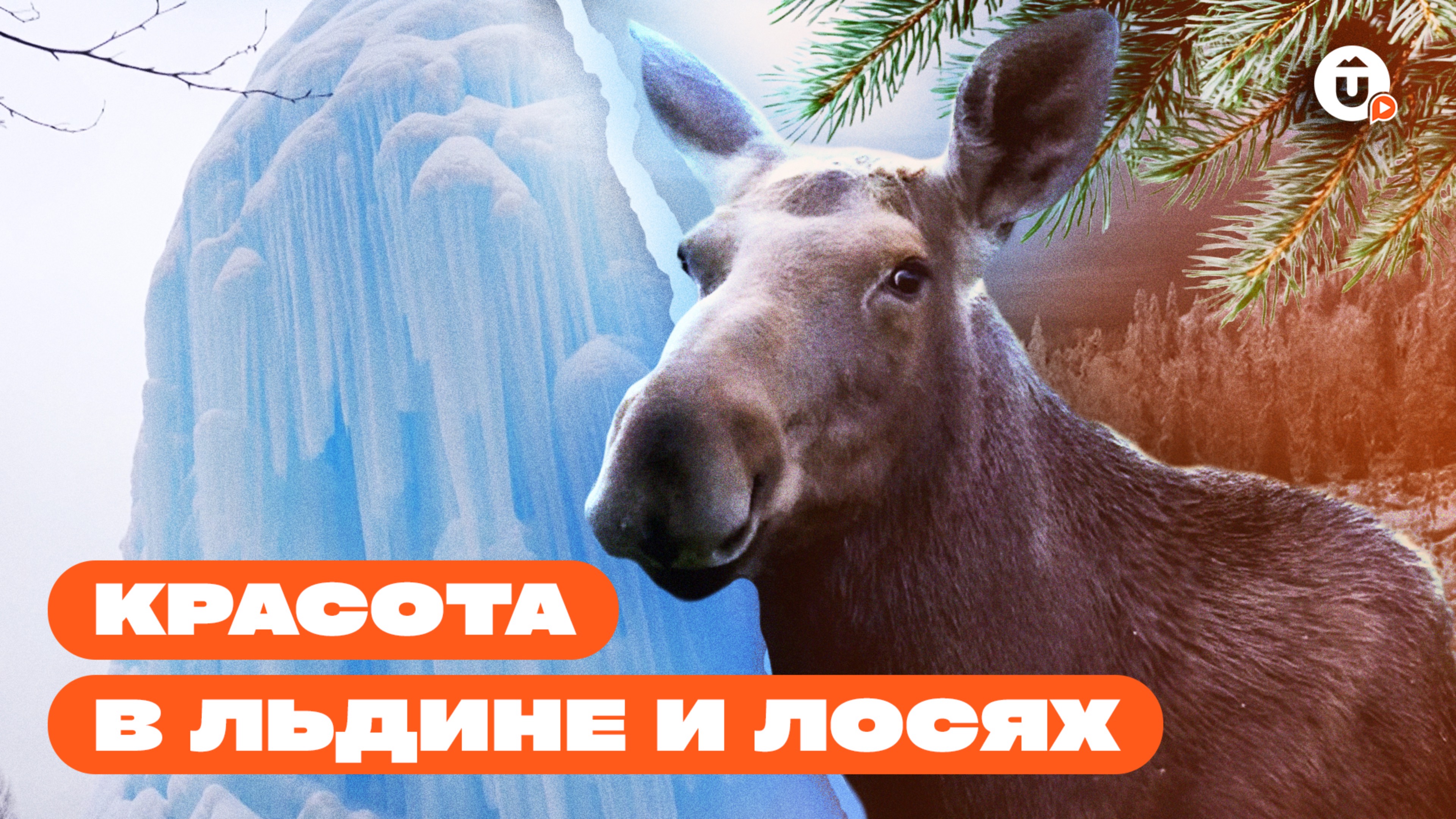 Ледяной фонтан и лоси: такой красивый Зюраткуль смотреть онлайн