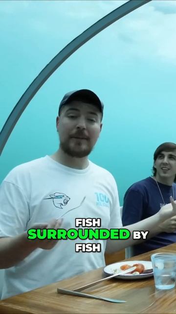 Exploring the Underwater World Jet Skis, Water Jet Packs, and Shark Encounters смотреть онлайн