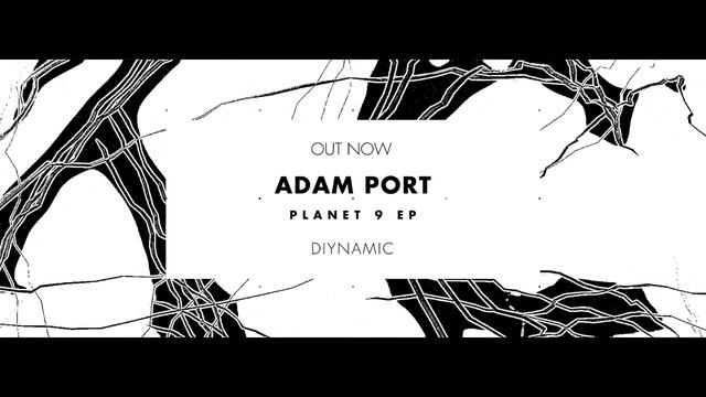 Adam Port - Planet 9 (DIYNAMIC105)