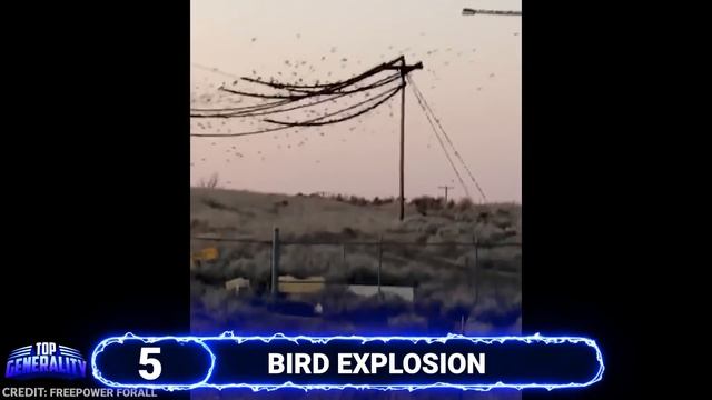 If This Hadn't Been Caught On Camera You Wouldn't Have Believed It смотреть онлайн