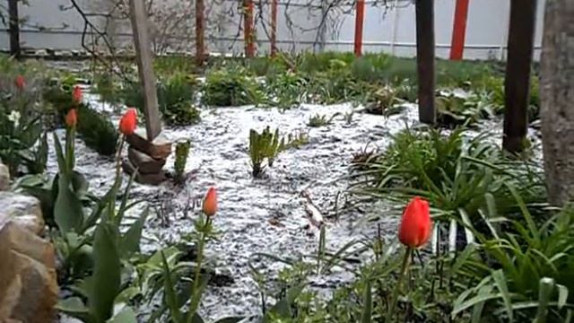 Часов Яр. Снег весной. 21 04 2017 смотреть онлайн