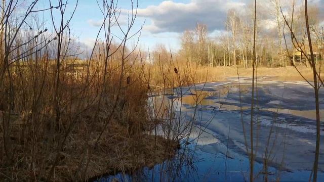 Борьба с бобрами продолжаю. как их победить не знаю пока смотреть онлайн
