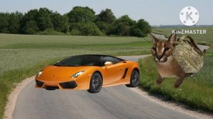 шлепа против гопников 2 серия 1 сезон