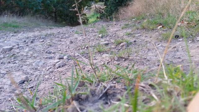 71cc evo goped смотреть онлайн