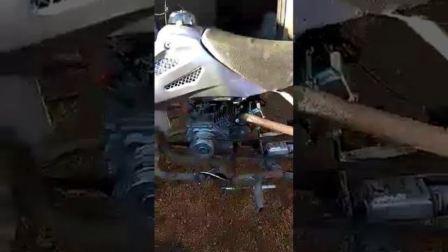 Муравей своими руками оконцовка что получилось смотреть онлайн