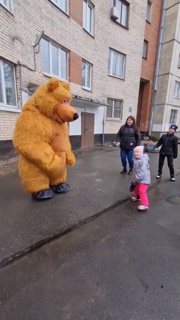 Веселый Мишанька Танцует с Малышкой💞Поздравление от Бурого Мишки💞 #сюрприз #shorts #бурыймишка #спб смотреть онлайн