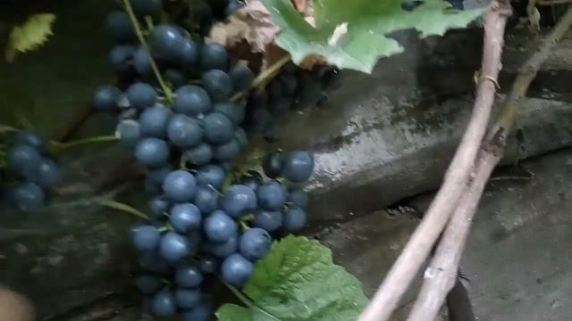 14 декабря 2018 г. смотреть онлайн