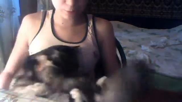 моя кошка мася смотреть онлайн