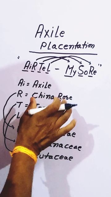 Axile placentation in 28 sec. #neet #shortsfeed #shortsvideo #biology смотреть онлайн