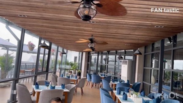 Fan collection 2022 / FAN tastic