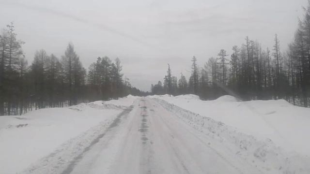 Северный край