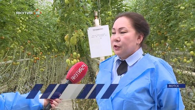 Сезон охоты на опасных вредителей растений открыл Россельхознадзор в Якутии смотреть онлайн