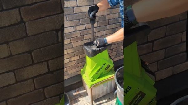 Как обновить старую кору лиственницы.