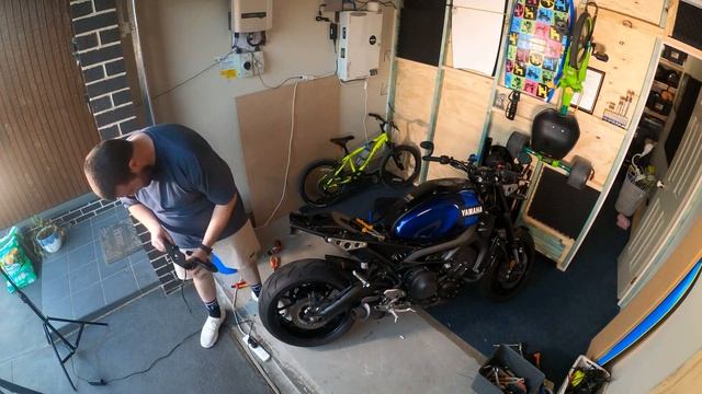 Tail Tidy Mod смотреть онлайн