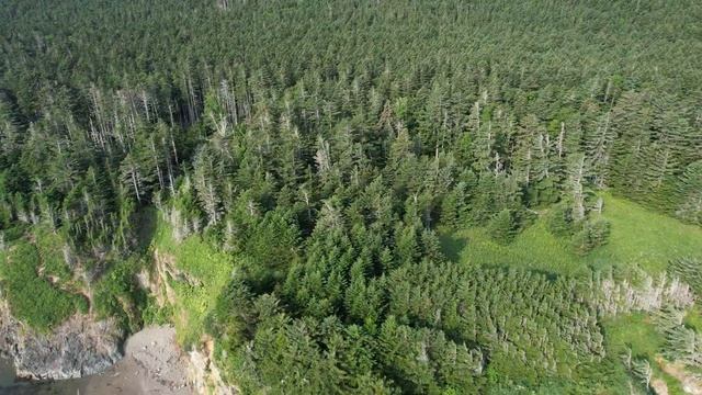 Сахалин — Кунашир — Шикотан