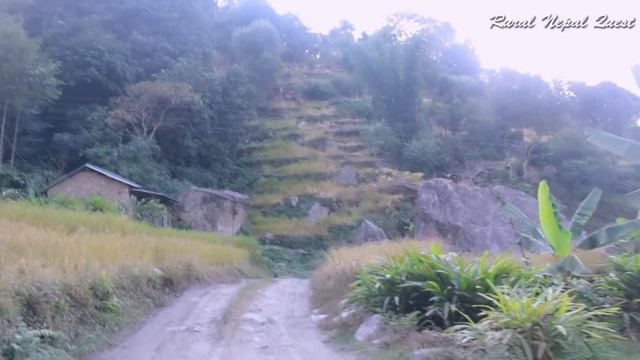 Beautiful Charm of Rural Nepal || Adventure travel into remote areas of Nepal смотреть онлайн
