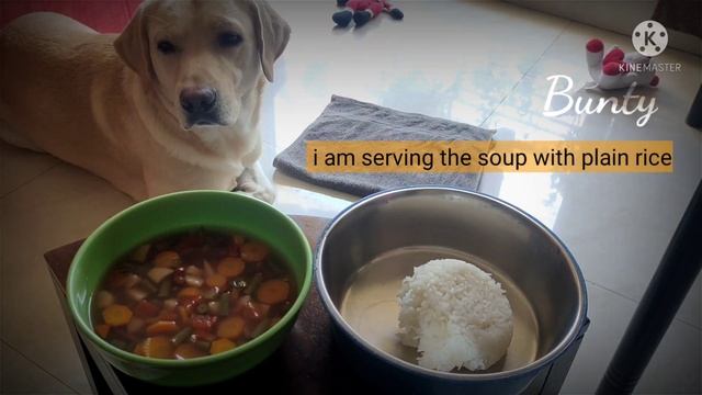 Pet friendly tasty soup🐶Fresh & Healthy VEGETARIAN MINESTRONE SOUP.Homemade nutritious food for dog смотреть онлайн