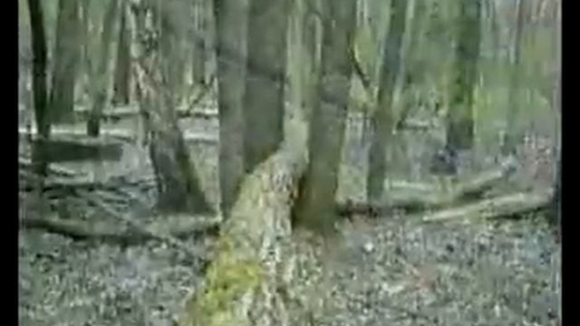 последнее видео Outstanders в 2008 году