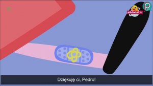 Świnka Peppa - Szpital (subtitles PL / польские субтитры)