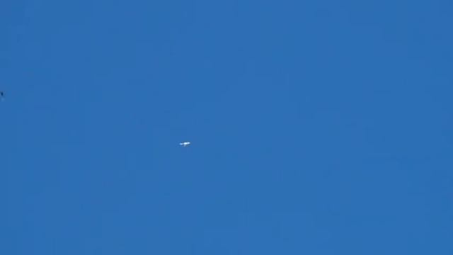высоколётные голуби 34 смотреть онлайн