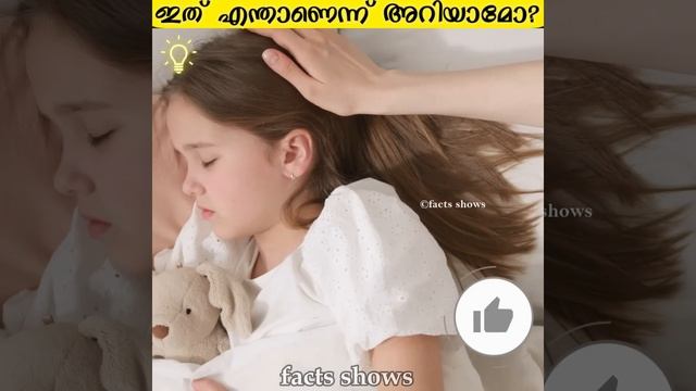 ഇത് എന്താണെന്ന് അറിയാമോ?#facts #factsmalayalam #shorts #factsshows #malayalamfacts смотреть онлайн