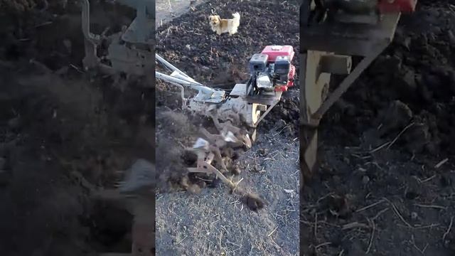 Саморобні фрези до мотоблока смотреть онлайн