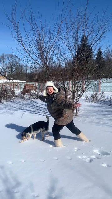 Зачем покупать участок дорого на авито, если его можно попросить у государства? смотреть онлайн
