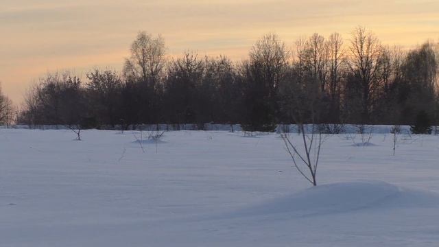 00148 меж Китово и Урядино смотреть онлайн