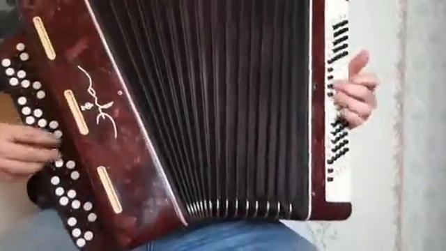 Accordion Bayan Era