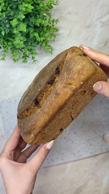 Ржано-пшеничный хлеб на закваске с сухофруктами! Рецепт на канале!#закваскадляхлеба #хлебназакваске смотреть онлайн