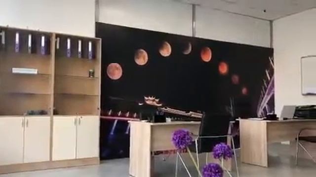 Мфц делегат