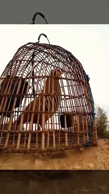 February 28, 2022 смотреть онлайн