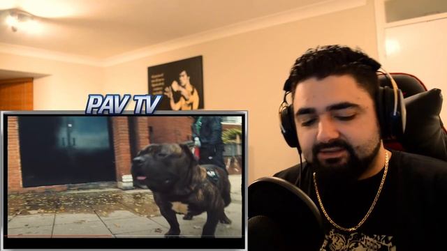 THEY WENT IN! - AVELINO - CASSIUS CLAY FT DAVE (REACTION) смотреть онлайн