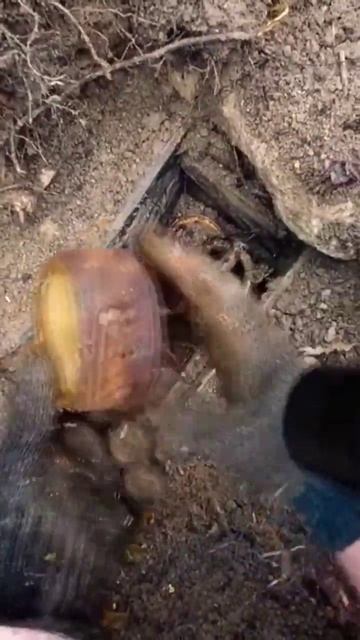 НАШЕЛ КОЛЛЕКЦИЮ ВИНТАЖНЫХ ЧАСОВ! #новости #находки #находка смотреть онлайн