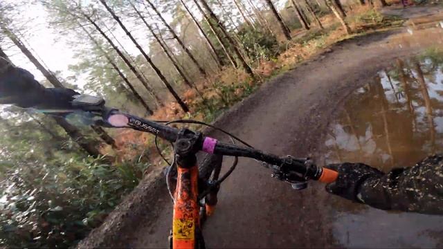 MTB SINGLE TRACK BEDGEBURY FOREST!
