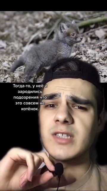 ⚠️Мужчина спас котенка и в итоге... #shorts смотреть онлайн