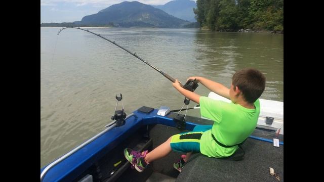 Great River Fishing: Boy Hooks White Sturgeon on the Fraser River