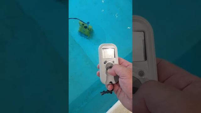 Dolphin Dynamic Prox 2 - video 3 смотреть онлайн