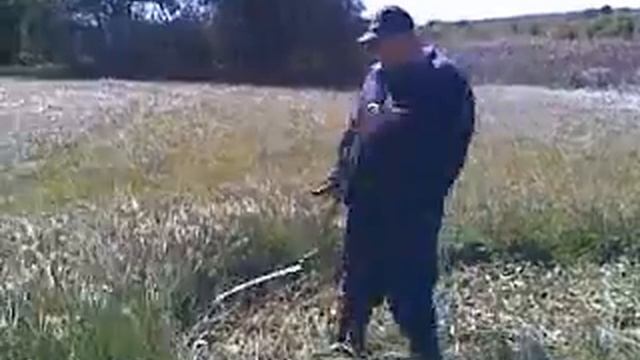 Крестьянский танец смотреть онлайн